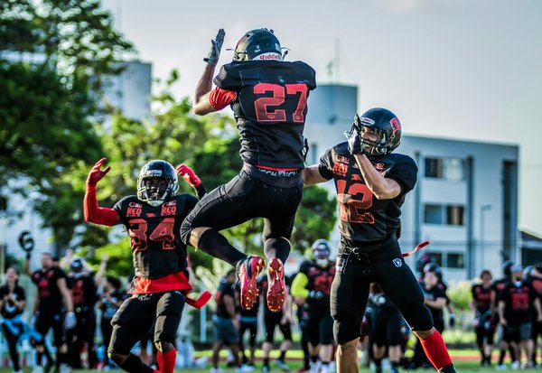 Transforming victorian homes: chic strategies for sustainable energy efficiency